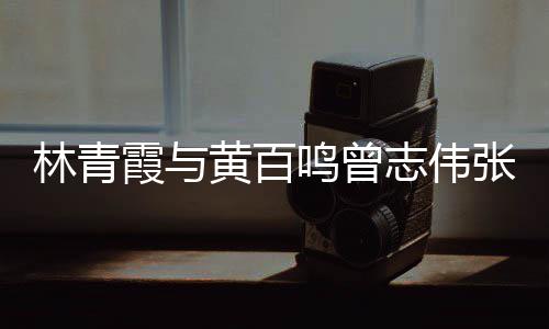霞与 星林青老友黄百鸣曾璨光璀嘉等聚会志伟张艾