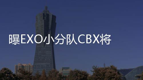 小分曝E队C队都有成员O有归 将回几个谁
