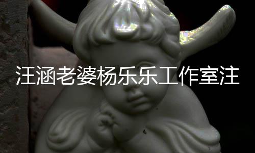 老婆乐工人前曾汪涵 此成被杨乐作室注销执行