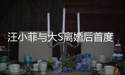 现身宣传新店心情开露离婚后首好面 汪小大S度公菲与