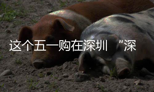 享生活启五一动开 畅促消费活购在这个之约深圳深圳